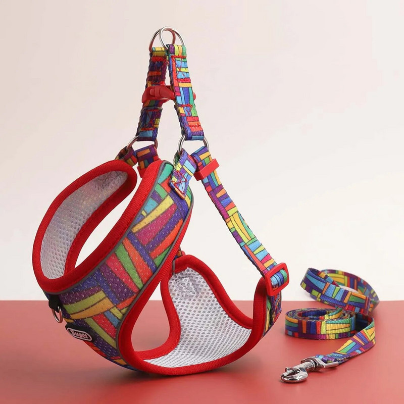 Sada postroja a vodítka pre jedného psa - pohodlne nastaviteľná - vesta na vodítko pre domáce zvieratá zabraňujúca úniku - pre malé až stredné psy