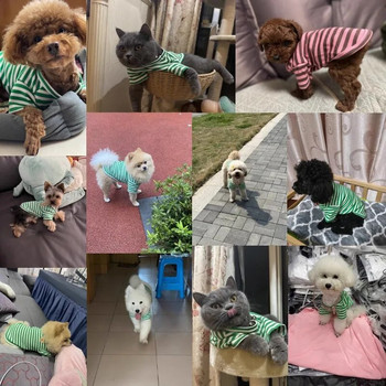 Летни дрехи за кучета за малки кучета Модна риза за кучета Bear Print Puppy Thin Shirt Сладка котешка жилетка с ивици Дрехи за чихуахуа Риза за домашни любимци