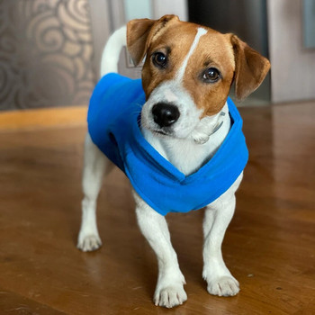 Φλις Ρούχα χειμωνιάτικων κατοικίδιων για μικρά σκυλιά Κοστούμια Γιορκσάιρ τεριέ για κουτάβι πουκάμισο για σκύλους γιλέκα γάτας Chihuahua French Bulldog Poodle