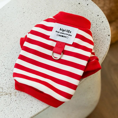 Gyapjú kutyaruhák őszi téli meleg kisállatruházat aranyos medve kutya hám ruhák cica kiskutya pulóver Bichon chihuahua ing