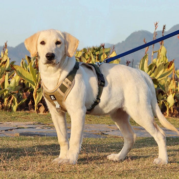 Γιλέκο λουριού σκύλου Γαλλικό μπουλντόγκ νάιλον λουρί σκύλου για μεγάλα σκυλιά Ρυθμιζόμενη ασφάλεια Μεγάλα λαγωνικά για περπάτημα εξωτερικού χώρου