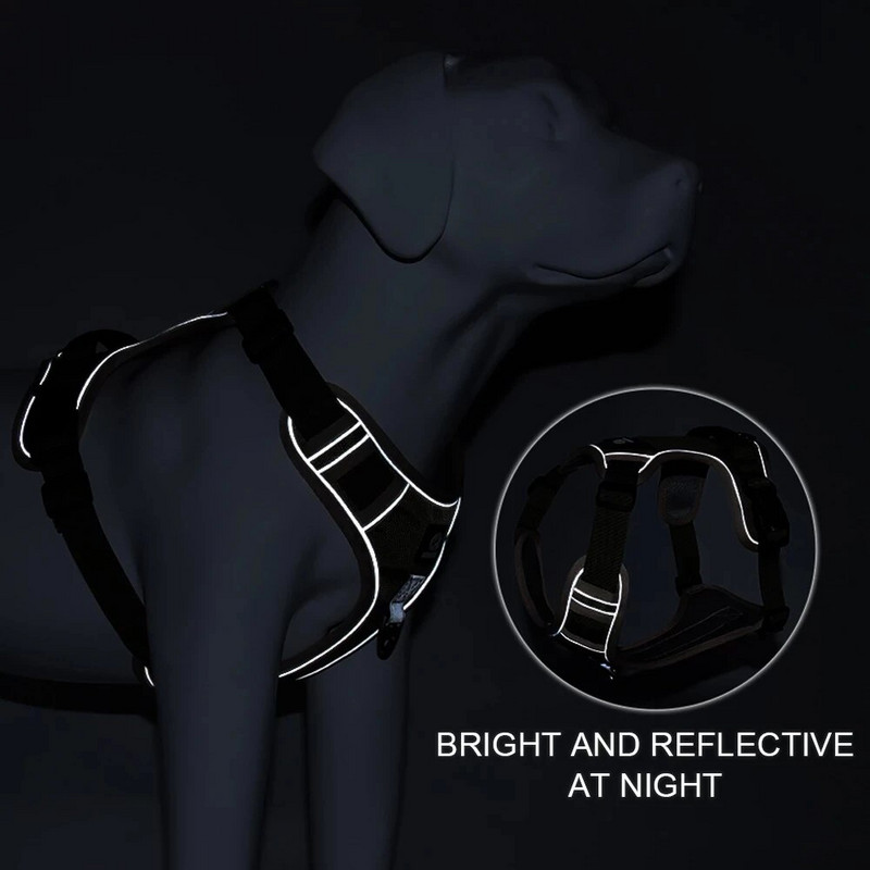 Kutyahám Mellény Francia Bulldog Nylon kutyahám nagy kutyákhoz Állítható biztonság Nagy agár kültéri sétahevederek