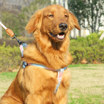 Комплект цветни колани за домашни любимци с каишка и каишка за кучета за вътрешна и външна употреба