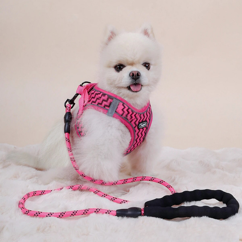 Supet lemmiklooma kassi ja koera rinnarihm lainemustriga hingav ja mugav paagipealne veoköis