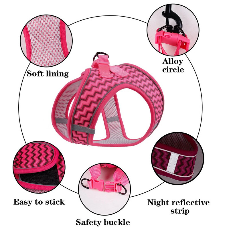 Supet lemmiklooma kassi ja koera rinnarihm lainemustriga hingav ja mugav paagipealne veoköis