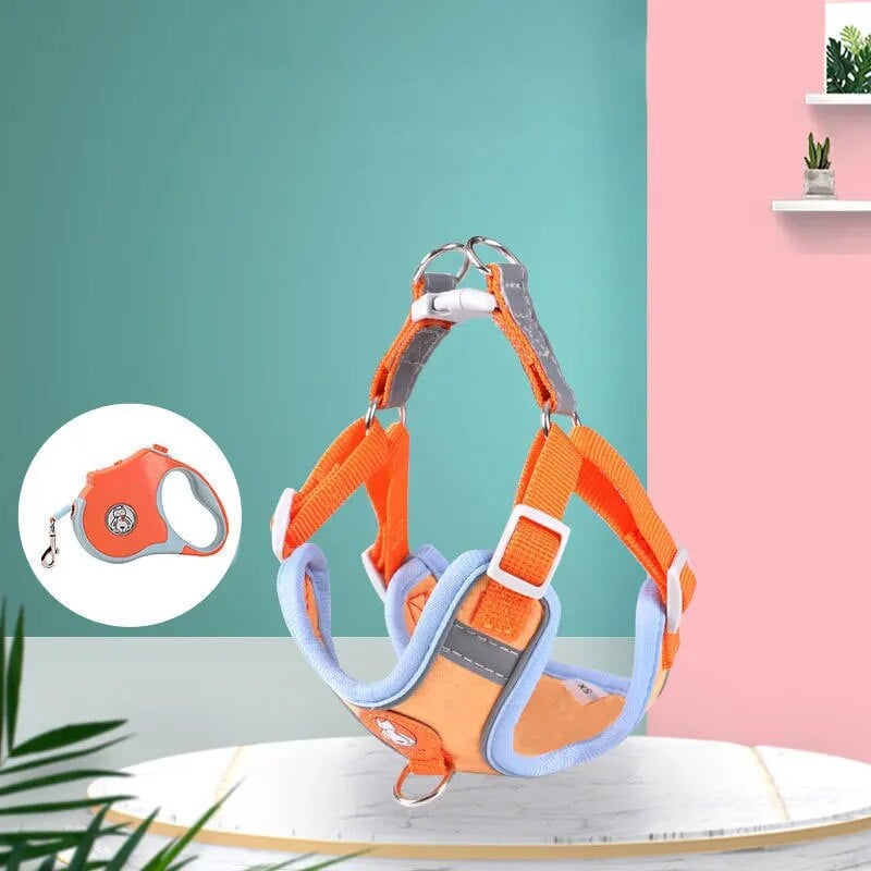 Állítható kutyahám nem húzható aranyos macska puha sétáló póráz szett kisállat kutya mellény mellény teddy beagle kis és közepes kutyák számára