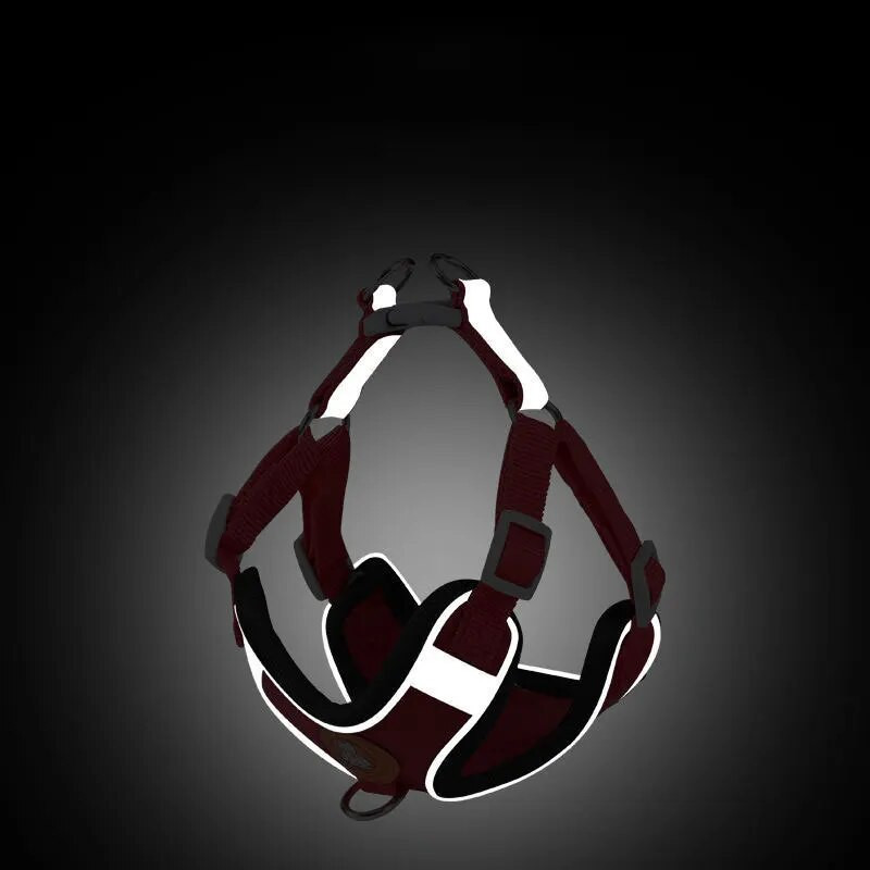 Állítható kutyahám nem húzható aranyos macska puha sétáló póráz szett kisállat kutya mellény mellény teddy beagle kis és közepes kutyák számára