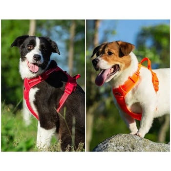 TRUELOVE Pet Harness Nylon Reflective Άνετο και αναπνεύσιμο Αντιεκρηκτικό Μικρό Μεσαίο Μεγάλο Υπαίθριο Κάμπινγκ HP5652