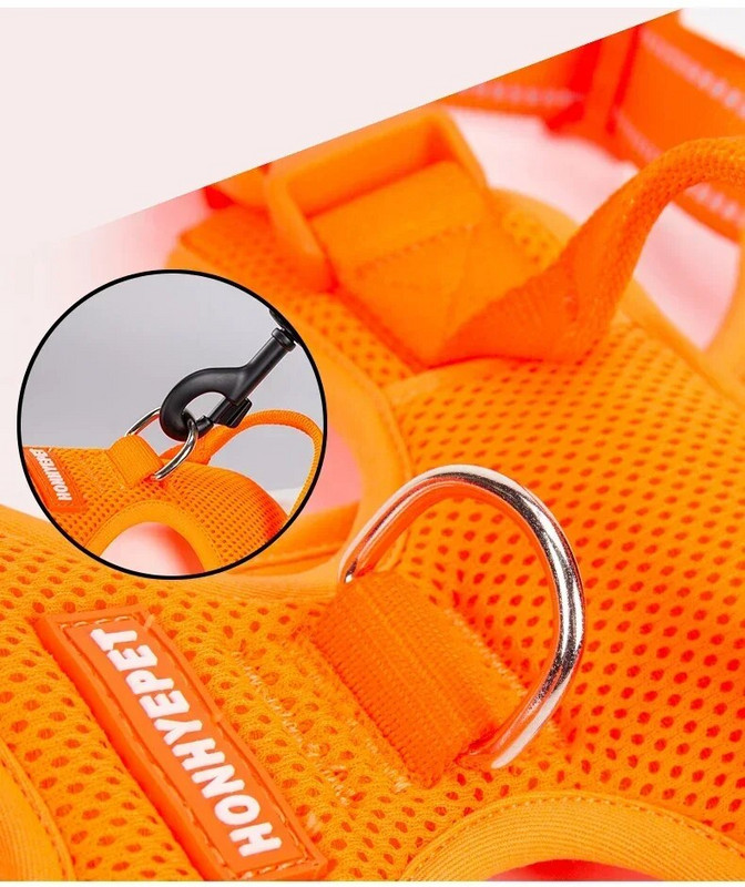 TRUELOVE Pet Hám Nylon Fényvisszaverő Kényelmes és Légáteresztő Robbanásbiztos Kis Közepes Nagy Szabadtéri Kemping HP5652