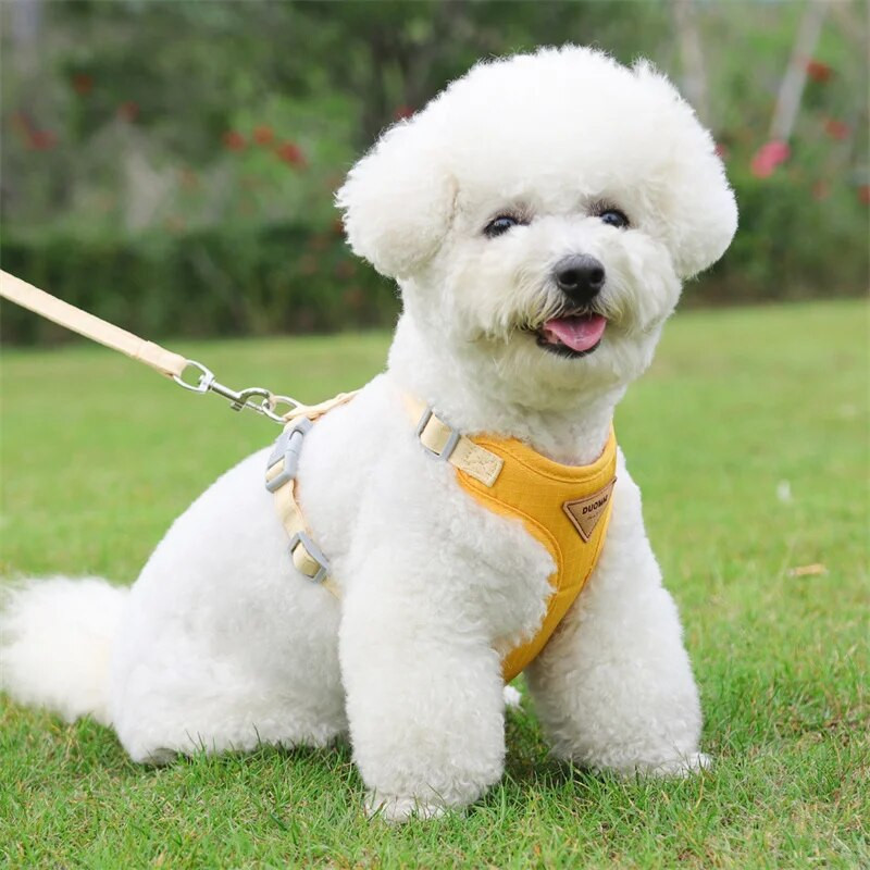 Legújabb kölyökkutya hám és póráz készlet kistestű kutyáknak Állítható kisállat hámok Chihuahua uszkár Bichon Cat kabalák Kiegészítők