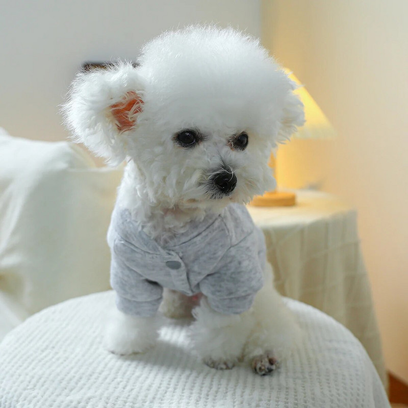 1 vnt. naminių gyvūnėlių drabužiai šunų katės Valentino dienos raudonas meilės paltas su užtrauktuku, tinka mažiems ir vidutinio dydžio šunims