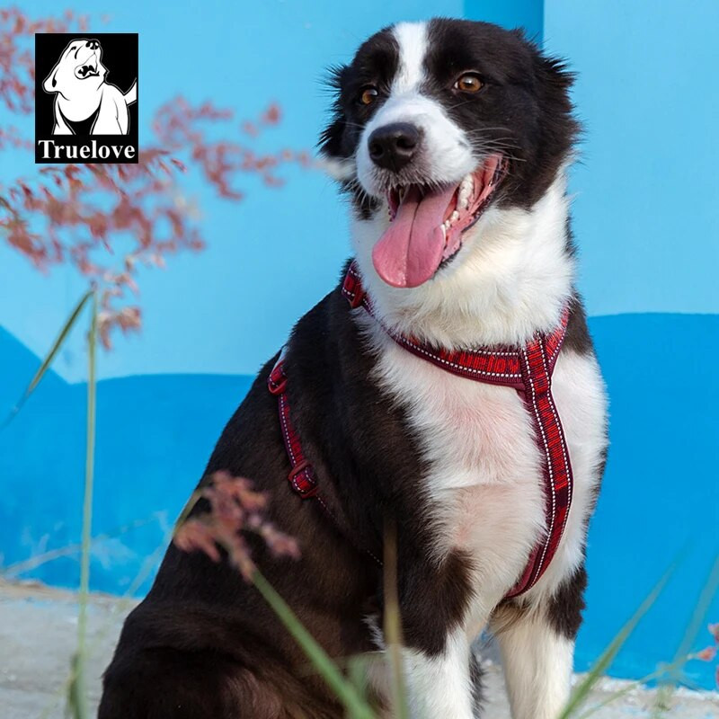 „Truelove“ šunų diržai, šviesą atspindintys be traukimo, taktiniai karinio mokymo dizaino neopreno paminkštinimai, patogus tinklelis, reguliuojamas TLH6371