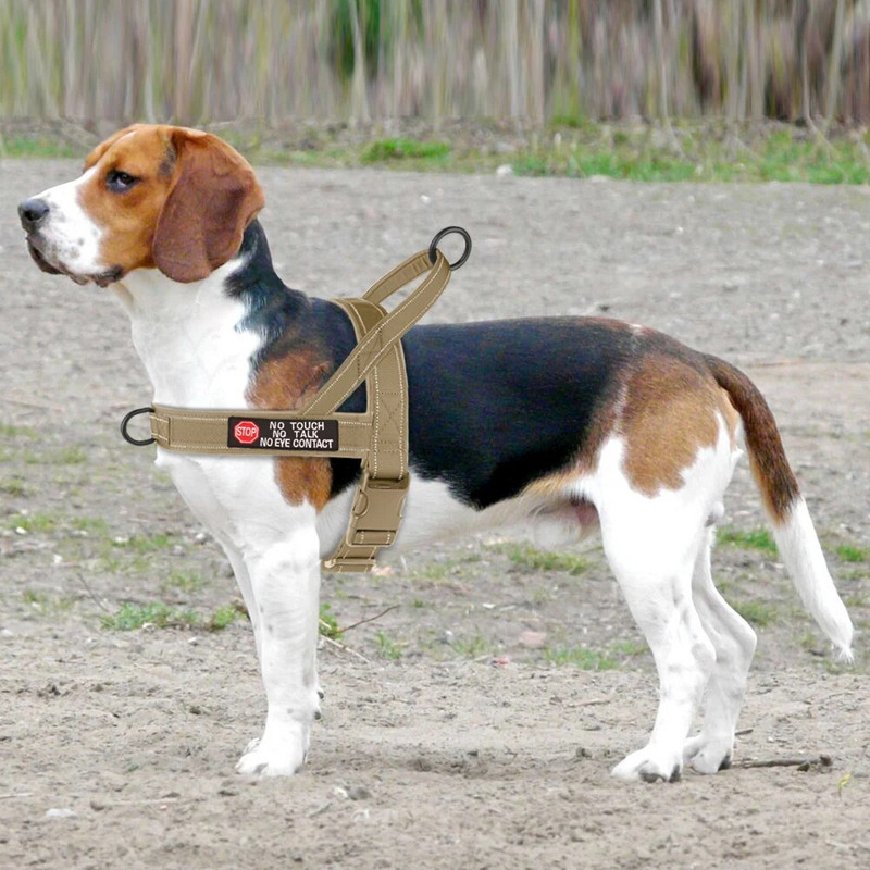 Fényvisszaverő nylon kutyahám Állítható kisállatsétáltatási edzőhám Mellény húzás nélkül közepes nagyméretű kutyáknak pitbull németjuhász