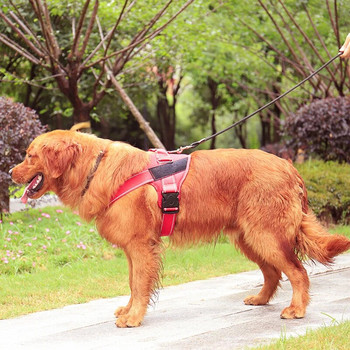 Εξατομικευμένο αντανακλαστικό λουρί από νάιλον σκύλους Εξατομικευμένο αντανακλαστικό λουρί K9 για μικρούς μεσαίους μεγάλους σκύλους Αναπνεύσιμο πλέγμα μαξιλαριού σκύλου Πλεξούδα χωρίς τράβηγμα