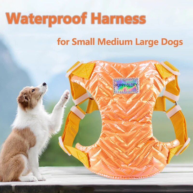 Reguliuojami šunų diržai mažiems ir vidutiniams dideliems šunims kačiuko katės krūtinės dirželis šuniuko vandeniui atsparios liemenės petnešos naminių gyvūnėlių priedai