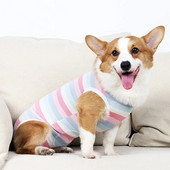 Câinii întrețin hainele Costum de recuperare pentru operație Anti-lipirea rănilor după operație Costum de intervenție chirurgicală Salopetă cu patru picioare Produse pentru animale de companie