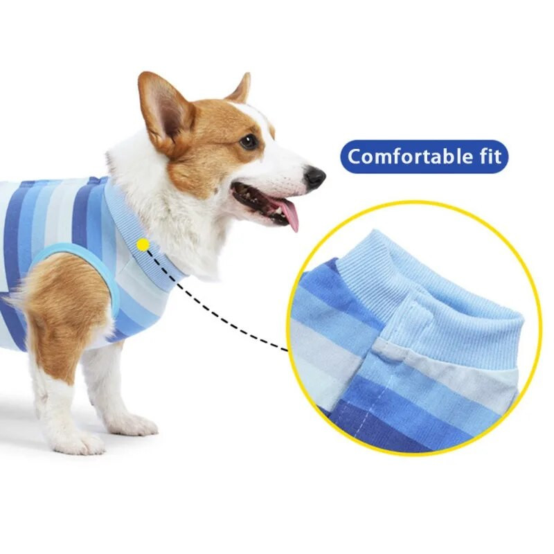 Câinii întrețin hainele Costum de recuperare pentru operație Anti-lipirea rănilor după operație Costum de intervenție chirurgicală Salopetă cu patru picioare Produse pentru animale de companie