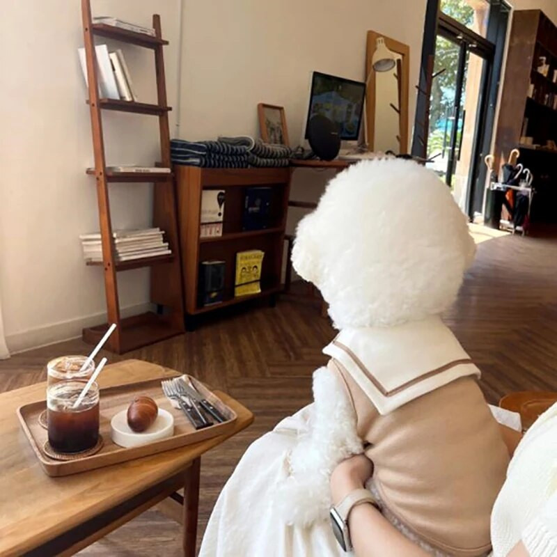 4 boje Sailor Puppy Vest Ljetni tanki Teddy Bichon Odjeća za pse s mornarskom ogrlicom Yorkshire terijer Šnaucer Odjeća za male ljubimce XS-XL