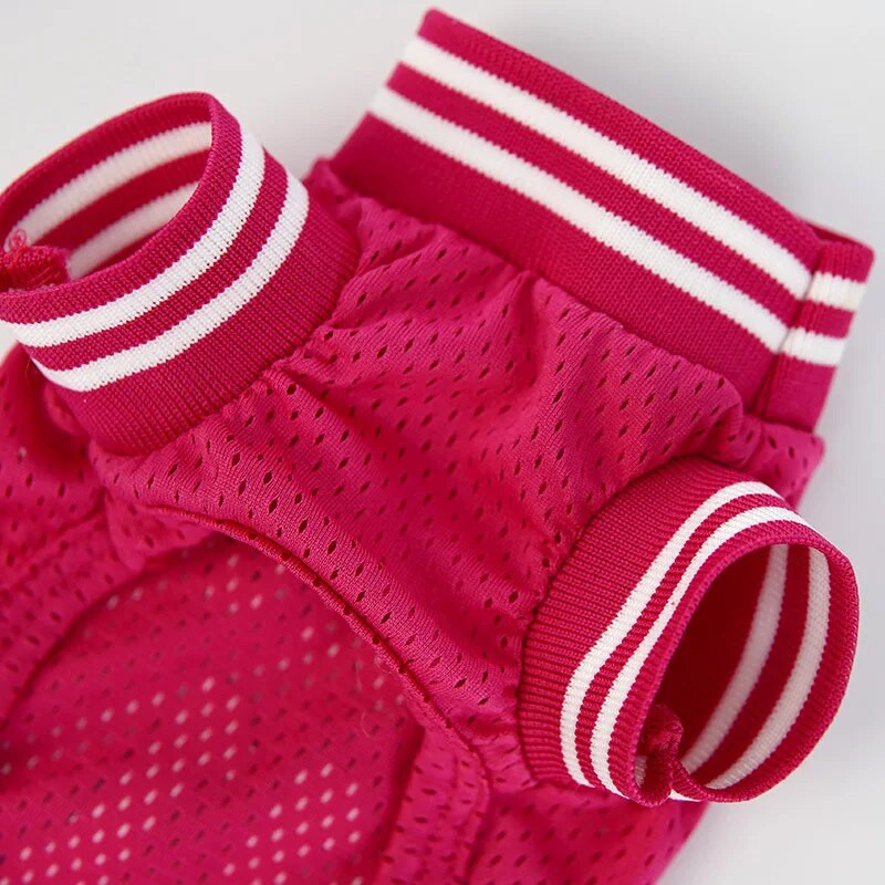 Drabužiai šunims Vasariniai ploni apatiniai marškinėliai Katės Teddy Bichon Fraser Chenery Maži ir vidutinio dydžio šunys Drabužiai naminiams gyvūnėliams Ropa Para Perros