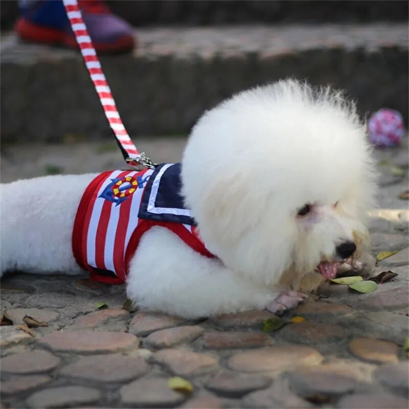 Kutyaruhák, puha, légáteresztő, sötétkék stílusú póráz készlet kis közepes kutyáknak Chihuahua kölyök nyakörv macska kisállat kutya mellkas pánt