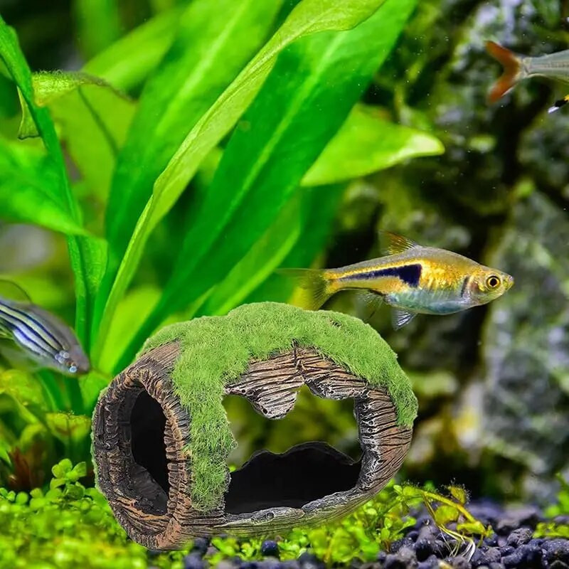 Akvariumo dirbtinės statinės urvų dervos papuošalai Dekoracijos Kraštovaizdžio aksesuarai Akvariumo dekoravimo fonas