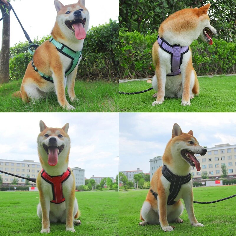 Naminių šunų petnešos su rankena mažiems dideliems šunims Prancūzų buldogų liemenių diržai Reguliuojami šuniuko krūtinės dirželiai Labradoro šunų antkakliai