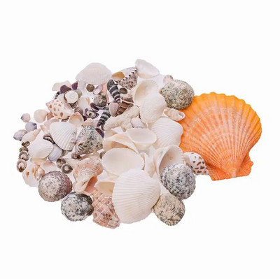 Natūralios kriauklės kriauklė ir šukutės apdaila Spalvinga žuvų akvariumo puošmena „pasidaryk pats“ rankdarbiai, skirti akvariumo papuošalams dekoruoti 100 g