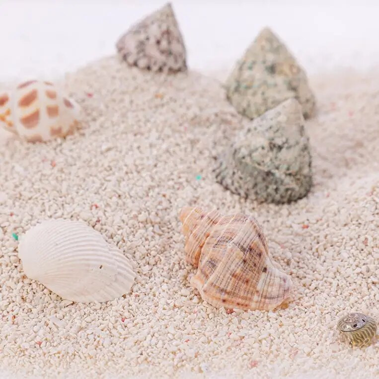 Natūralios kriauklės kriauklė ir šukutės apdaila Spalvinga žuvų akvariumo puošmena „pasidaryk pats“ rankdarbiai, skirti akvariumo papuošalams dekoruoti 100 g