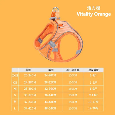 Šuns petnešos naminiams gyvūnėliams reguliuojamas liemenės pavadėlio antkaklis šuniukui Geriausiai parduodami šunų petnešos ir pavadėlio komplektas šunų priedai