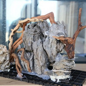 1 vnt N1N Akvariumo ornamentas roplių rezervuaro fonas Akvariumo puošmena Augalo kelmas Driftwood Gegutės šaknis natūralus kamienas