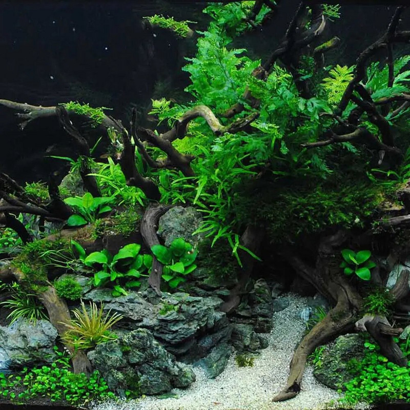 1 vnt N1N Akvariumo ornamentas roplių rezervuaro fonas Akvariumo puošmena Augalo kelmas Driftwood Gegutės šaknis natūralus kamienas