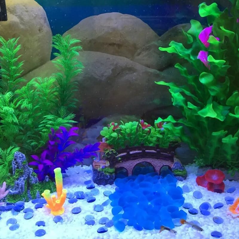 30/20/10 cm Akvariumo modeliavimas Augalas Vandens augalai Akvariumo apdaila Akvariumo priedai Žalias aksominis medis