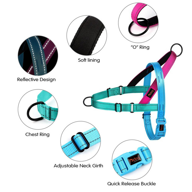 Šviesą atspindintys šunų diržai, kurių negalima traukti