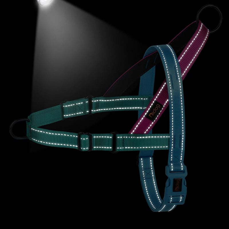 Šviesą atspindintys šunų diržai, kurių negalima traukti