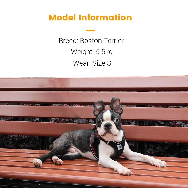 Šunų petnešos, šviesą atspindinčios, be traukimo, naminių gyvūnėlių petnešos mažiems ir vidutiniams šunims Kvėpuojantis paminkštintas petnešų liemenė buldogui čihuahua