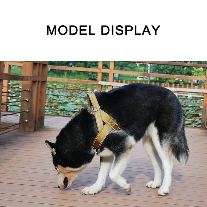 600 Denier nailonist lemmikloomarakmed suure tõmbetugevuse ja peegeldava joonega, sobivad keskmistele kuni suurtele koertele, koerte treenimiseks