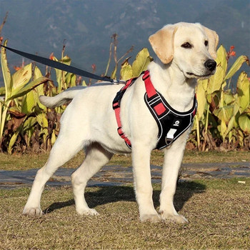 Ανακλαστικό κολάρο για λουρί για σκύλους κατοικίδιων ζώων προσαρμογής ιμάντα μολύβδου ασφαλείας για μικρό μεσαίο μεγάλο σκύλο Ζώνες στήθους Walk French Bulldog