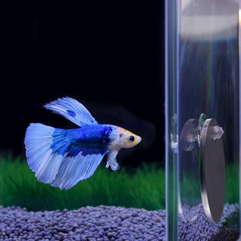 Огледало за упражнения за рибки насърчава естественото териториално поведение 5/6/7 см за аквариум Betta Fish Toy Mirrior намалява скуката Y5GB