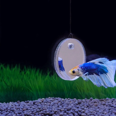 Огледало за упражнения за рибки насърчава естественото териториално поведение 5/6/7 см за аквариум Betta Fish Toy Mirrior намалява скуката Y5GB