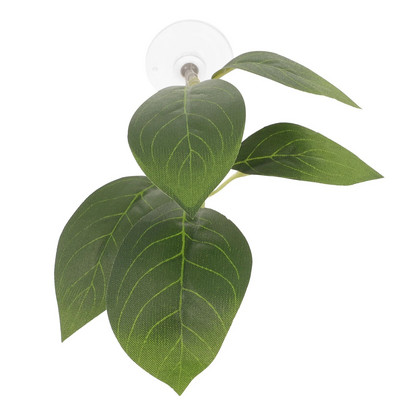 Betta nerštavietės žuvų rezervuarų kraštovaizdžio dekoravimas Neršto lapų veisimas vandens augalas