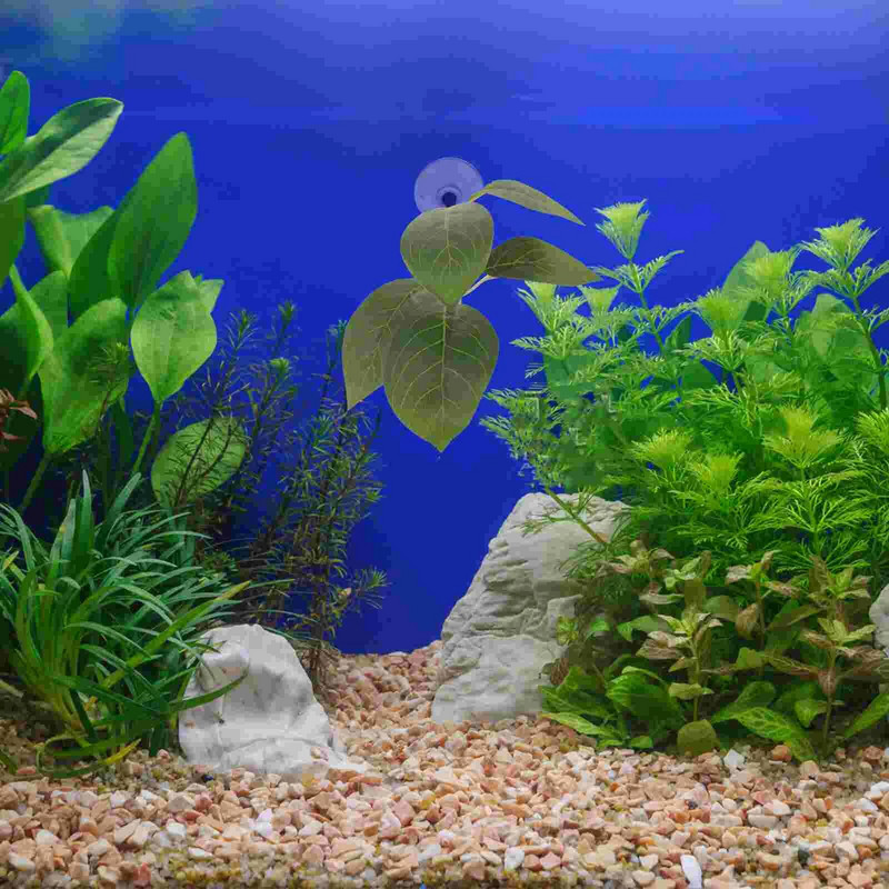 Betta nerštavietės žuvų rezervuarų kraštovaizdžio dekoravimas Neršto lapų veisimas vandens augalas