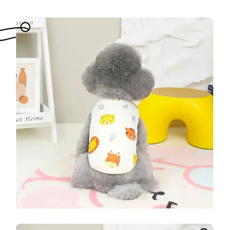 INS Kisállat Kutyaruhák Aranyos Medve Plusz Bársonyos kutyamellény Meleg Téli Kutyakabátok Teddy Bear Macska Kölyökkutya Pamut kutyakabát Kutyaruházat