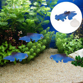 Akvariumo akvariumo kraštovaizdžio dekoras