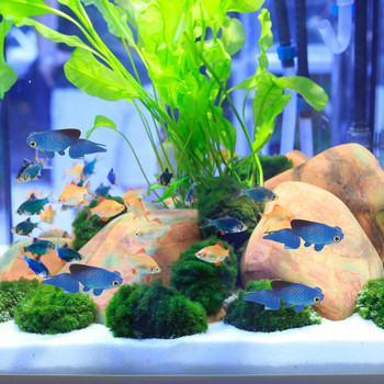 Аксесоари за декорация на аквариум с фалшиви златни рибки Светещи фалшиви занаяти с рибки Декор за озеленяване на аквариум