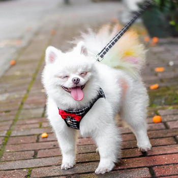 Λουρί σκύλου Escape Proof Αναπνεύσιμο λουρί και λουρί σκύλου για περπάτημα σε εξωτερικούς χώρους Εύκολος έλεγχος Σετ νάιλον λουριών σκύλου για κατοικίδια γάτα