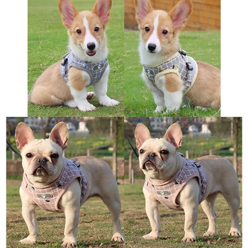 Nylon Mesh Kitten Puppy Reflective Dogs Σετ λουριών και λουριών για σκύλους Ζελέ λουρί για σκύλους Ρούχα για κατοικίδια για μικρά σκυλιά