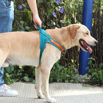 Ανθεκτικό νάιλον λουρί για σκύλους Χωρίς έλξη δερμάτινο γιλέκο λουριού σκύλου Μαλακό γιλέκο κατοικίδιων με επένδυση για μικρά μεσαία μεγάλα σκυλιά Γαλλικό μπουλντόγκ πατημασιά