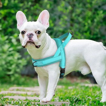 Μαλακό χωρίς τράβηγμα Μικρό, μεσαίο λουρί για σκύλους Νάιλον Pitbull για σκύλους λουριά για κουτάβι Επενδυμένο γιλέκο κατοικίδιων, ρυθμιζόμενο για μικρό σκύλο Chihuahua Pug