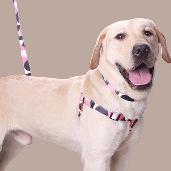 Λουρί και λουρί σκύλου - Αφηρημένα χρώματα συνονθύλευμα - Άνετο ρυθμιζόμενο μέγεθος - Κατάλληλο για υπαίθριες δραστηριότητες σκύλων