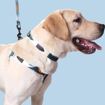 Нагръдник и каишка за кучета - Абстрактни пачуърк цветове - Удобни регулируеми размери - Подходящи за кучета дейности на открито